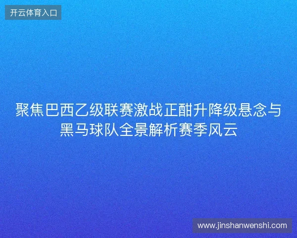 聚焦巴西乙级联赛激战正酣升降级悬念与黑马球队全景解析赛季风云
